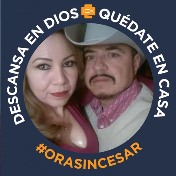 rosaelia72